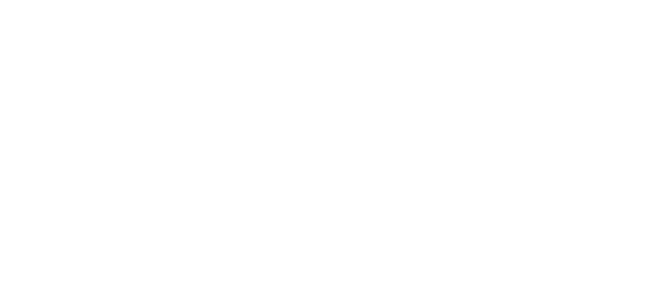 TRIGG — Magic for the Future